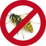 W-trap ловушка для ос